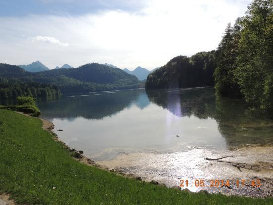 Forggensee
